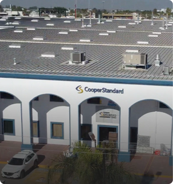 Sector Corporativo